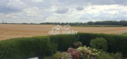 Blick aus dem Fenster