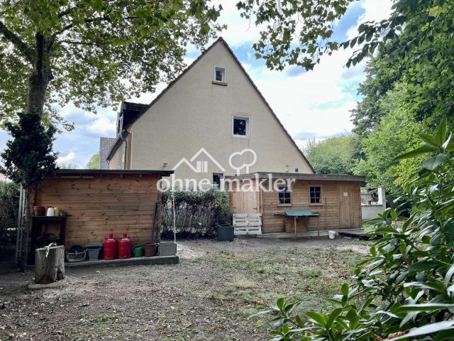 Seitenansicht vom Garten