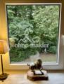 OG Blick in den Garten