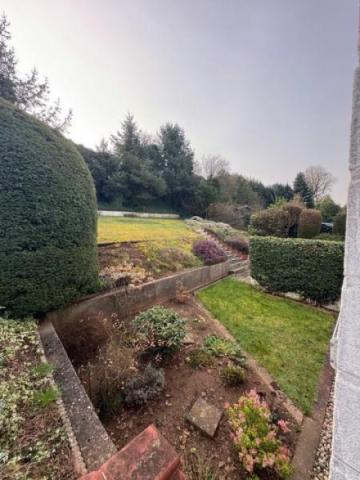 6 Garten