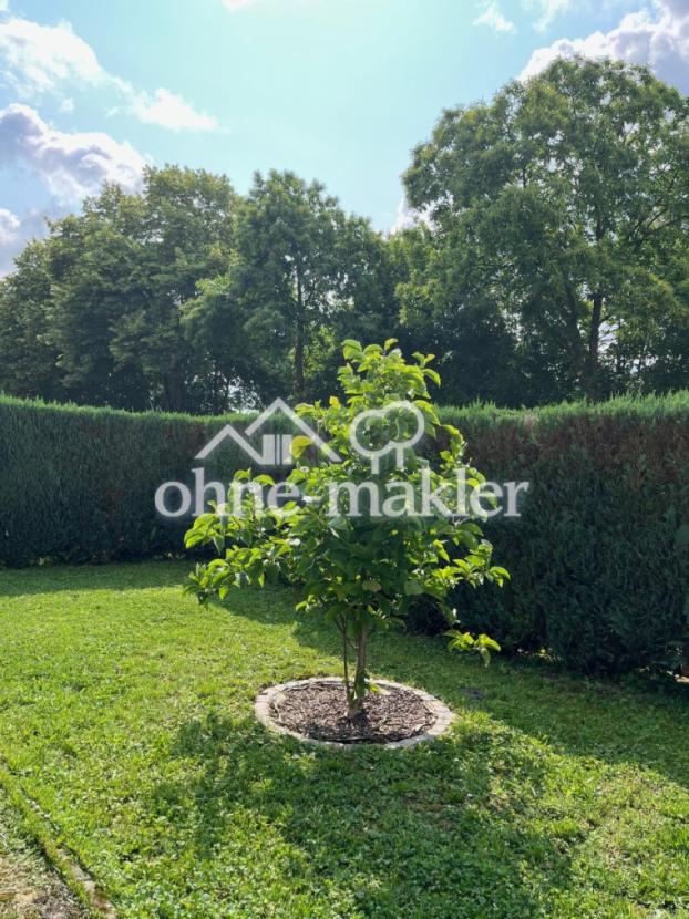 Sonniger Südgarten