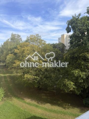 Ausblick ins Grüne