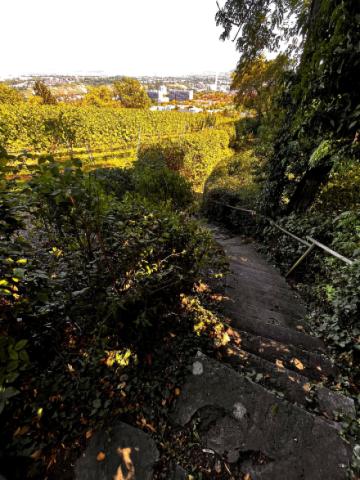 Steintreppe Weinberge