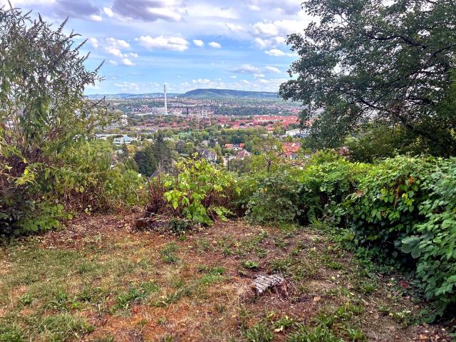 Aussicht Bad Cannstatt