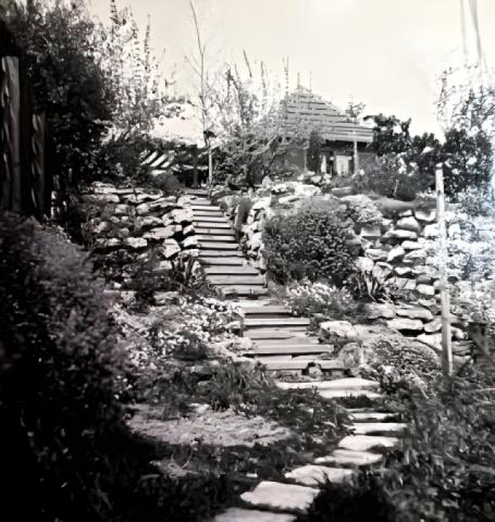 Historisches Foto