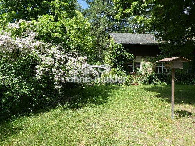 Frühsommer am Forsthaus