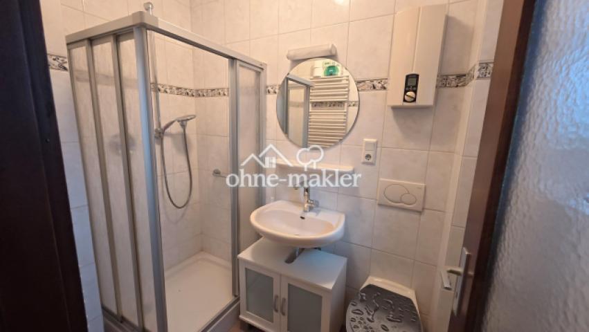 Gäste-WC mit Dusche (EG)