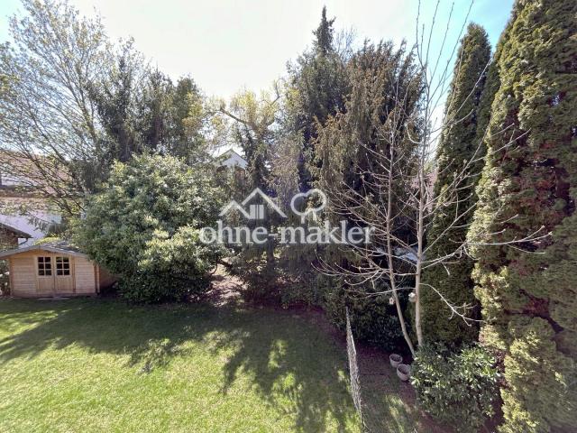 großer Garten mit Gartenhütte