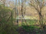 Gartenpforte