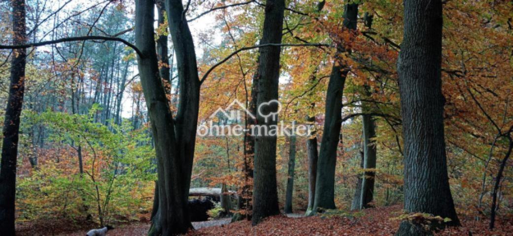 hinterm Haus