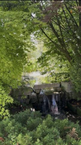 Bachlauf
