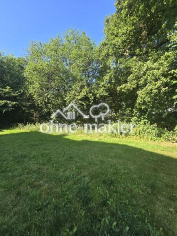 Garten/Rasenfläche