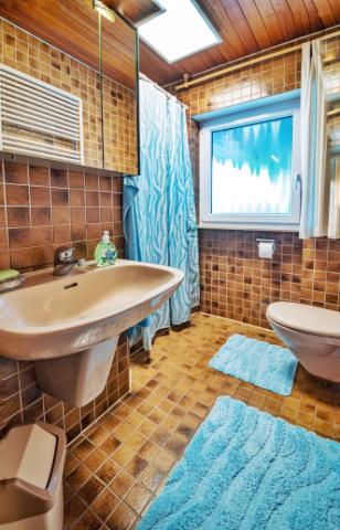 Gäste-WC mit Dusche (EG)