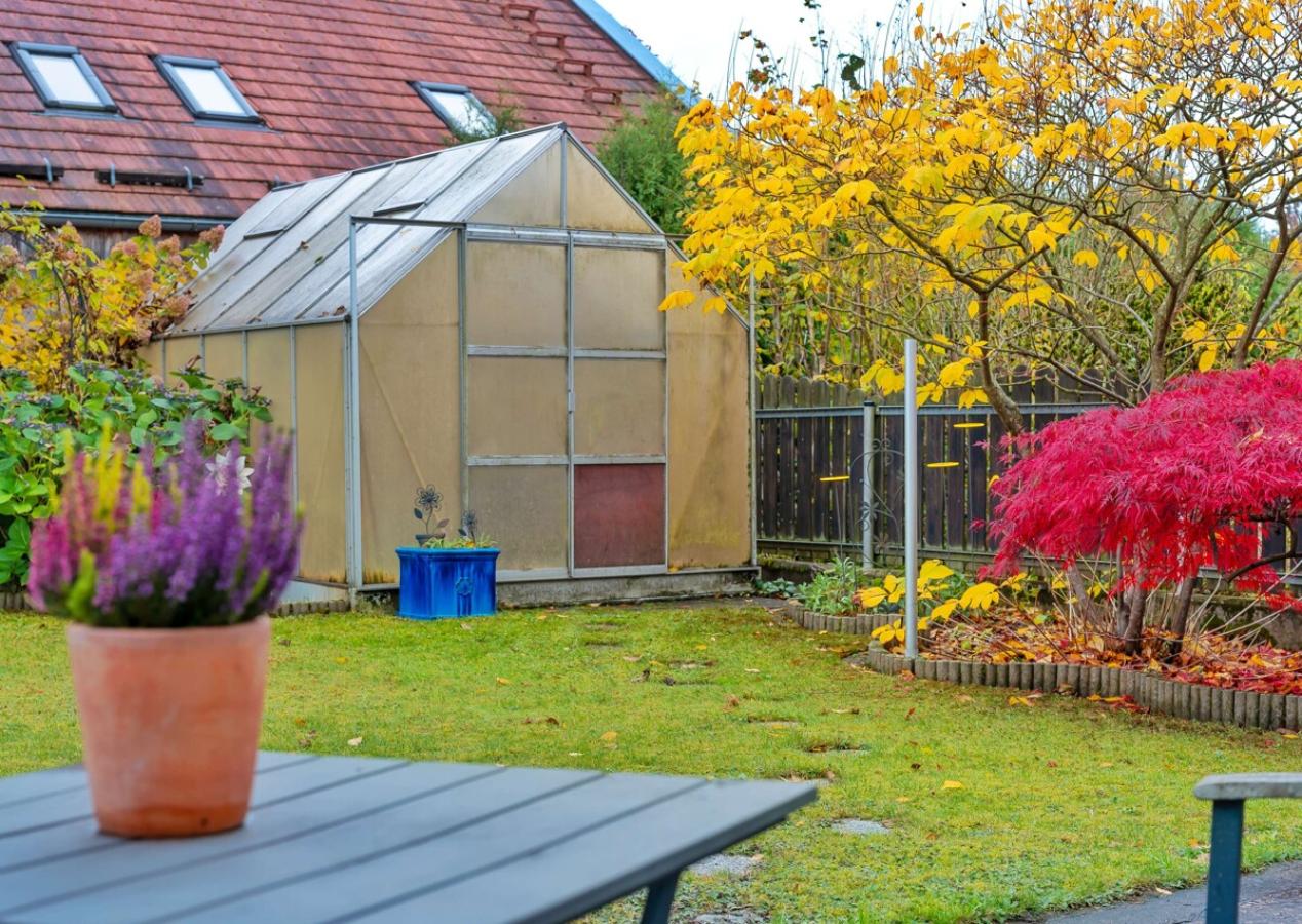 Gewächshaus