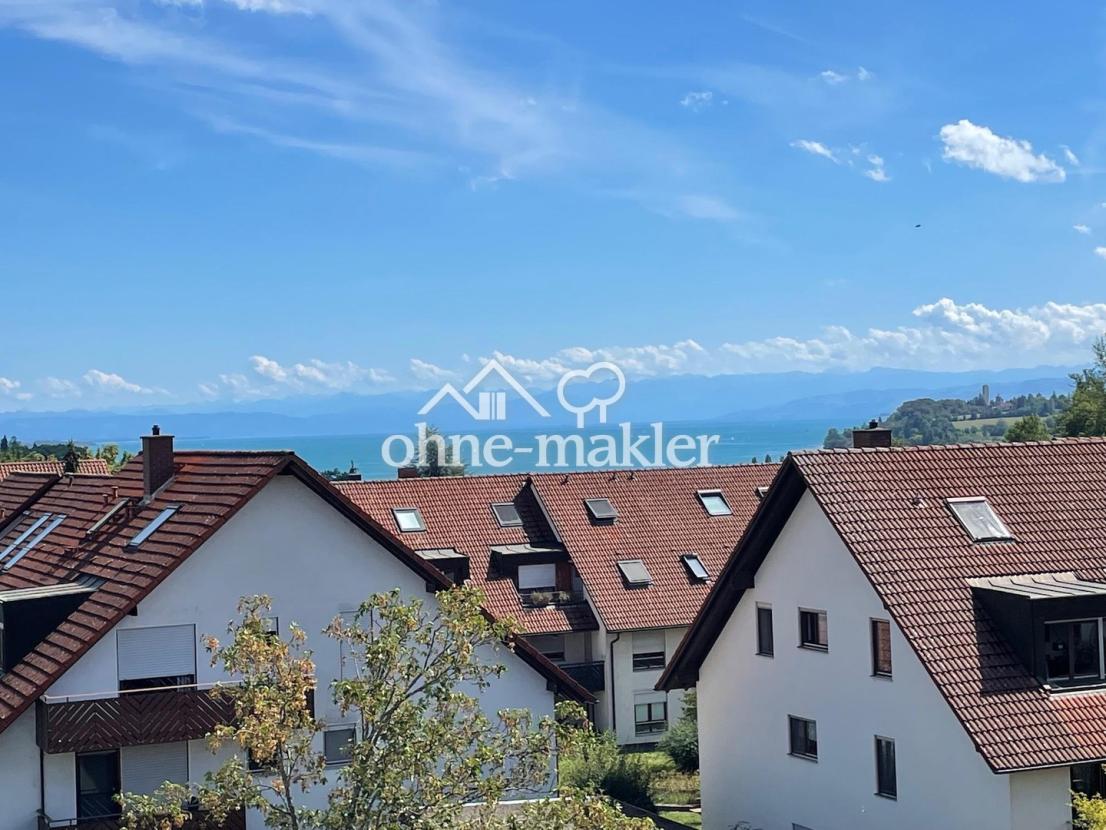 Blick Bodensee & Bergpanorama