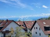 Blick Bodensee & Bergpanorama