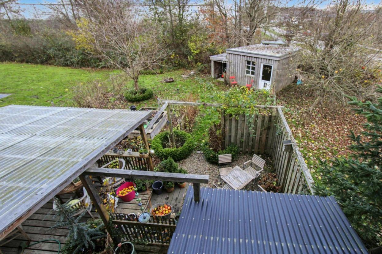 Blick in den Garten
