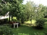 Gemeinschaftsgarten 