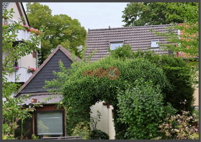 Blick zum Haus
