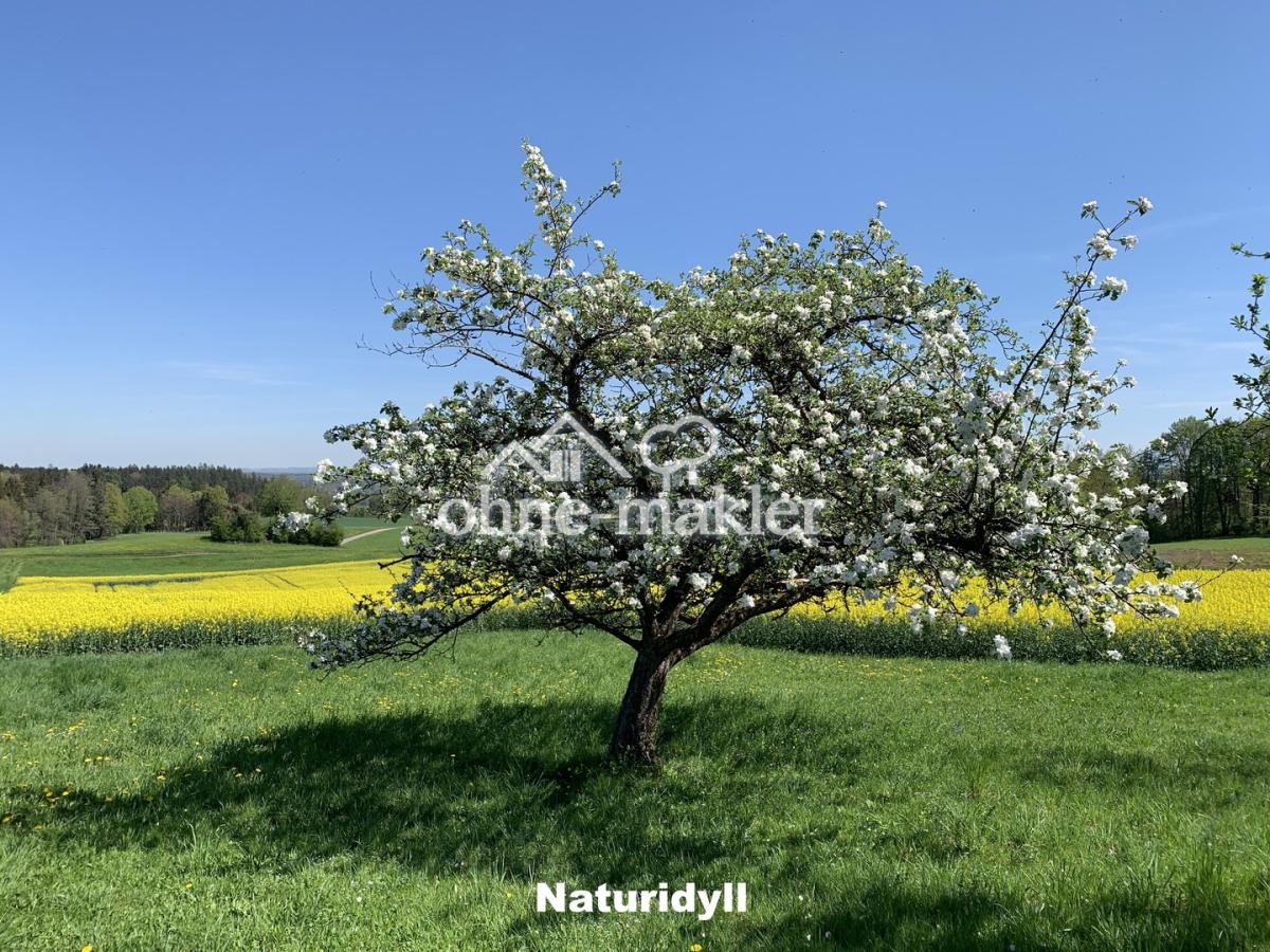 Naturidyll