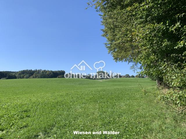 Wiesen und Wälder
