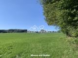 Wiesen und Wälder