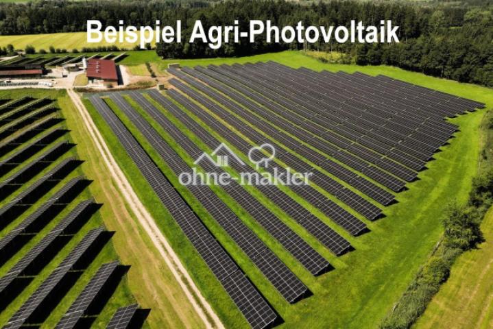Beispiel Agri-PV...