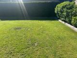Garten2