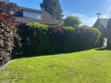 Garten4