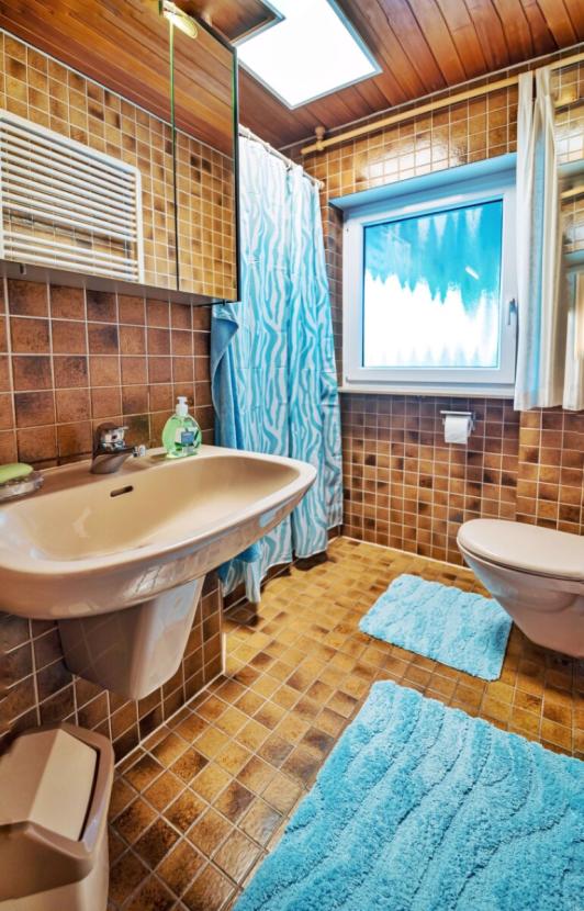 Gäste-WC mit Dusche (EG)