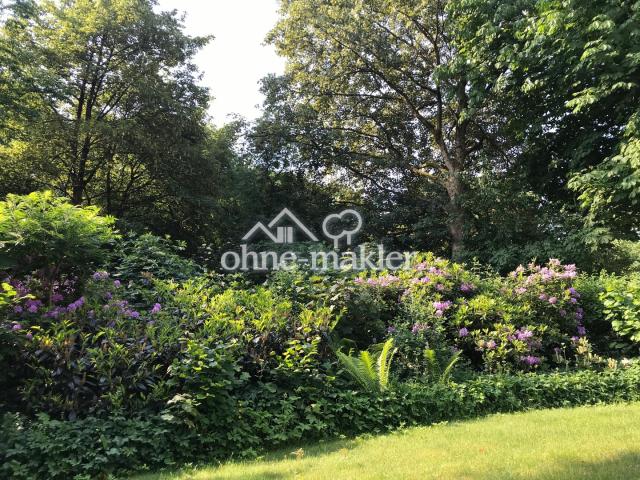 Rhododendronblüte
