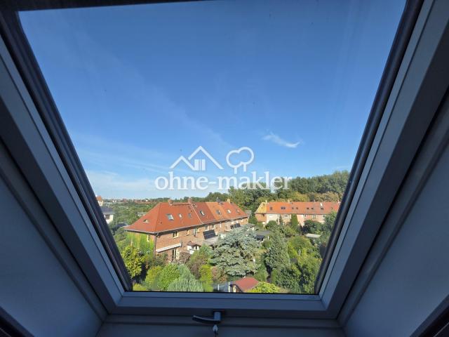 Blick Richtung Park  