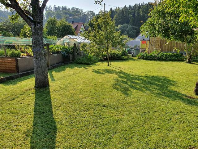 Garten-Bild2