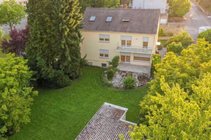Haus1