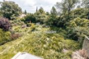 Garten 2