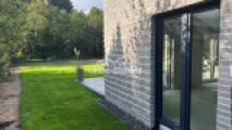 Blick in den Garten