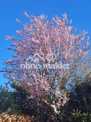 Frühling