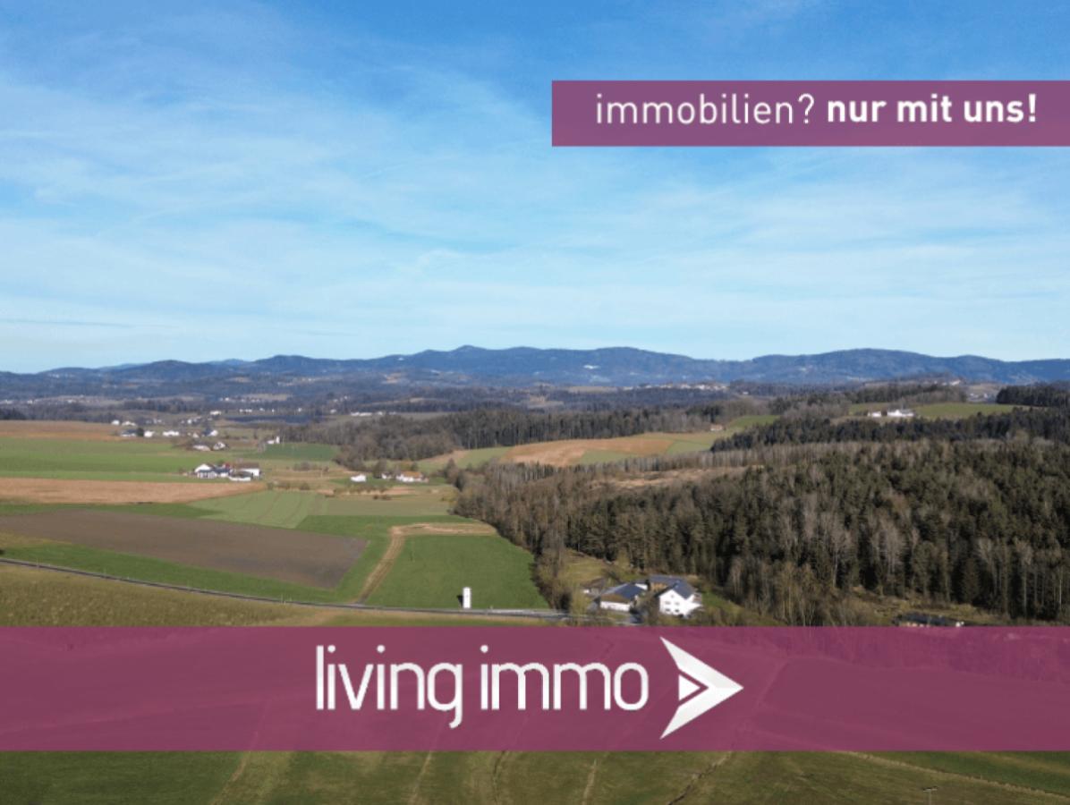 Vorlage Startbild Normal Logo und Fenster living immo Farbe (25)