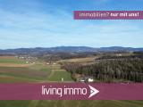 Vorlage Startbild Normal Logo und Fenster living immo Farbe (25)