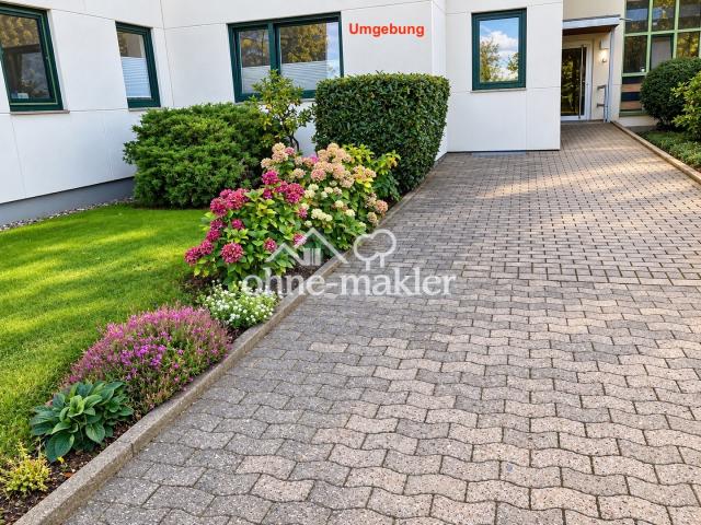 Umgebung
