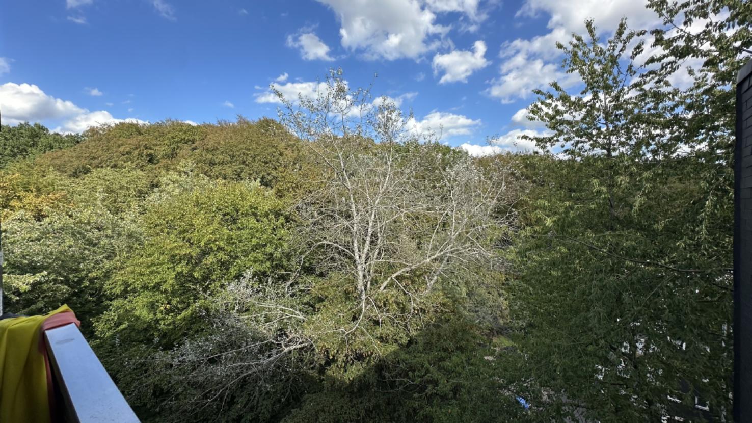Ausblick Laubgang