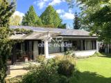 Gartenseite mit Terrasse
