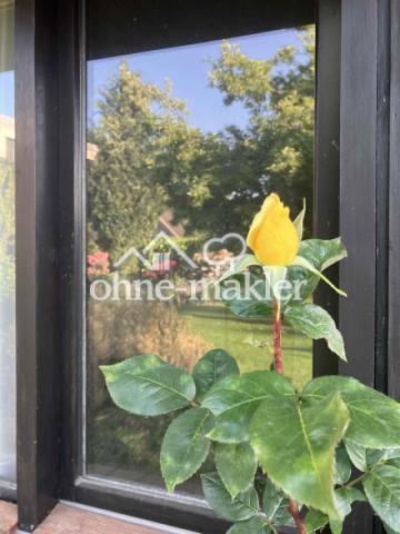 Gartenimpression