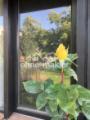 Gartenimpression
