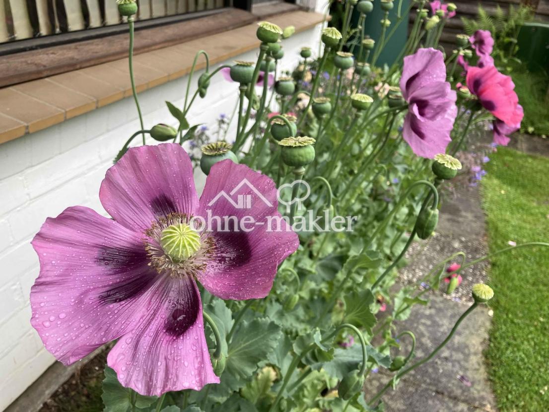 Gartenimpression
