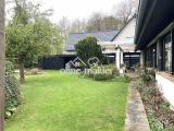 Blick in den Garten