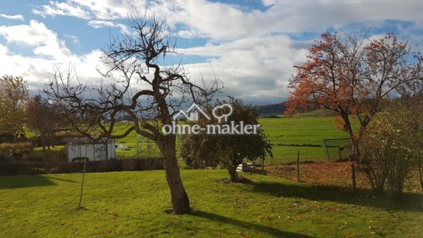 Gartenblick von Terrasse