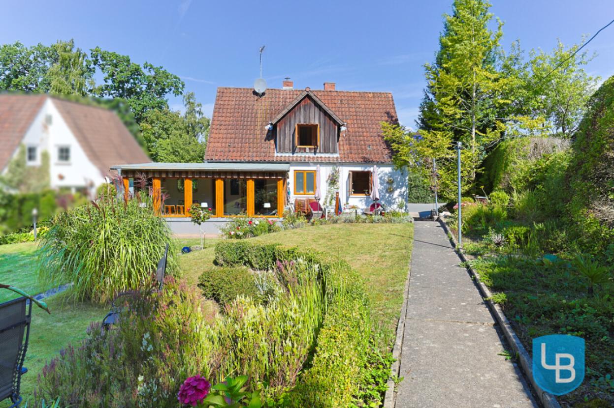 Blick aus dem Garten