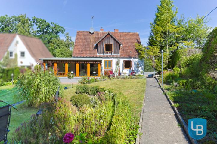Blick aus dem Garten