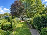 Blick in den Garten